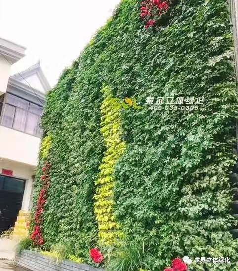 20220307140428353.png